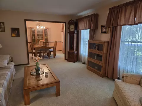 Living - 3479 N Edward Dr, Crete, IL 60417 photo 4 of 6