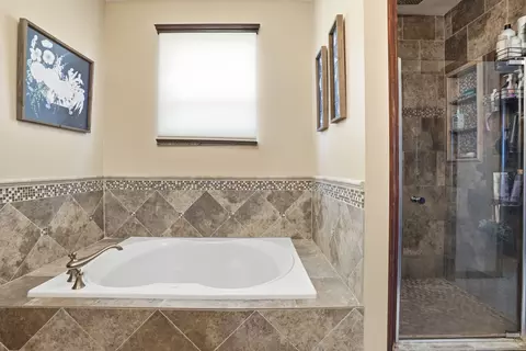 Bath - 1044 Sycamore St, Beecher, IL 60401 photo 3 of 5