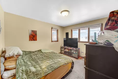 Bedroom - 463 Orchard Ln, Beecher, IL 60401 photo 4 of 4