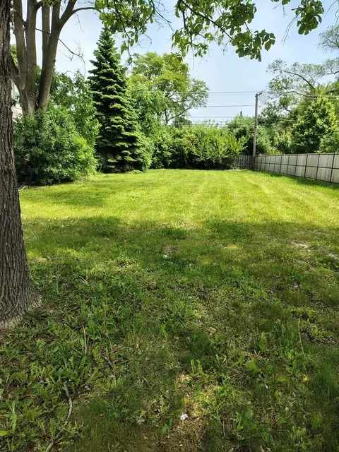 1433 N Northwest Hwy, Park Ridge, IL 60068