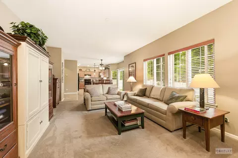 Living - 6102 Pheasant Ridge Dr, Plainfield, IL 60586 photo 4 of 4