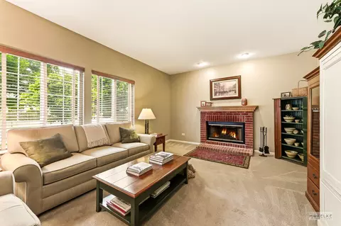 Living - 6102 Pheasant Ridge Dr, Plainfield, IL 60586 photo 3 of 4