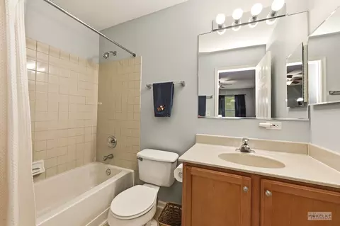 Bath - 6102 Pheasant Ridge Dr, Plainfield, IL 60586 photo 4 of 5