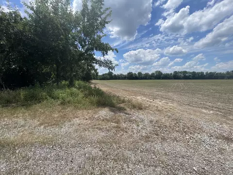 tbd Old Bainbridge Rd, Marion, IL 62959 photo 2