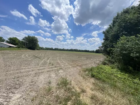 tbd Old Bainbridge Rd, Marion, IL 62959 photo 3