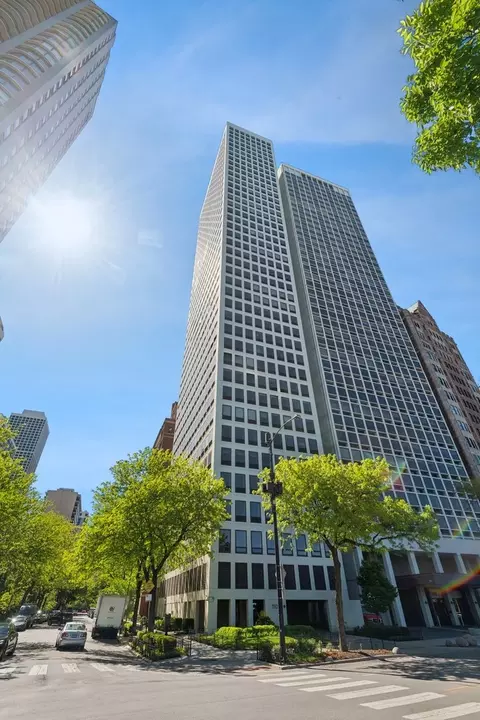 1100 N Lake Shore Dr N #15B, Chicago, IL 60611