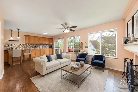 Living - 21302 W Monterrey Dr, Plainfield, IL 60544 photo 8 of 10