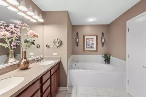 Bath - 1009 Alberta Rd, Elgin, IL 60124 photo 2 of 4