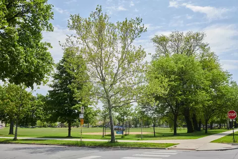 Other - 433-35 E 91st Pl, Chicago, IL 60619 photo 12 of 12