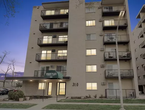 310 Lathrop Ave #401, Forest Park, IL 60130