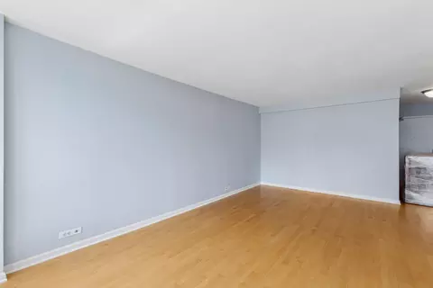 Living - 222 E Pearson St #1104, Chicago, IL 60611 photo 4 of 7