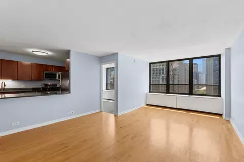 Living - 222 E Pearson St #1104, Chicago, IL 60611 photo 6 of 7