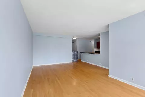Living - 222 E Pearson St #1104, Chicago, IL 60611 photo 5 of 7