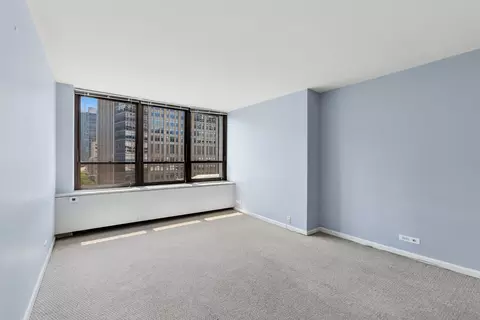 Other - 222 E Pearson St #1104, Chicago, IL 60611 photo 3 of 7