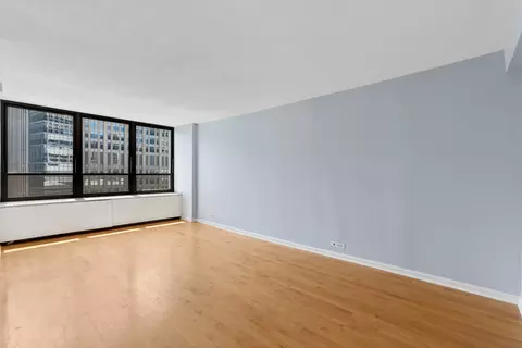 Living - 222 E Pearson St #1104, Chicago, IL 60611 photo 2 of 7