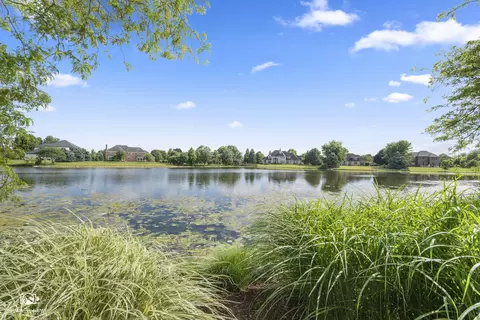 View/Area - 17649 S Richmond Rd, Plainfield, IL 60586 photo 1 of 4