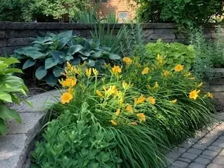 Exterior - 1419 E Forest Ave, Wheaton, IL 60187 photo 5 of 7