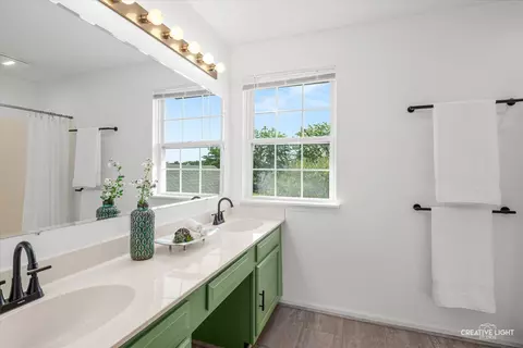 Bath - 2158 W Adobe Dr, Addison, IL 60101 photo 3 of 3