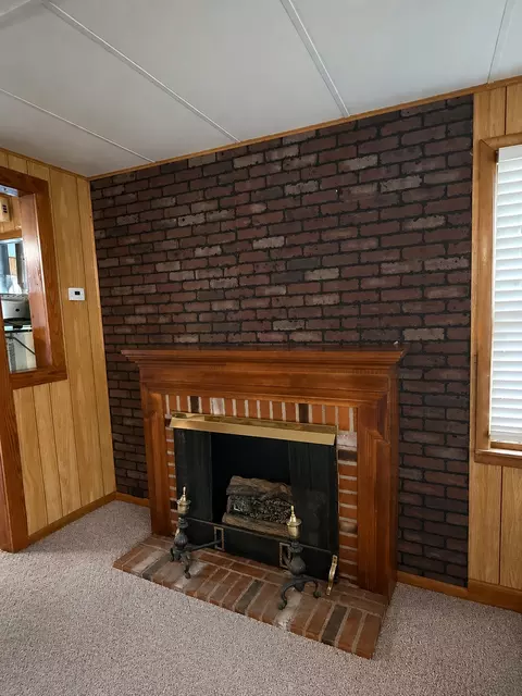Other - 407 Middleton St, Iuka, IL 62849 photo 1 of 4