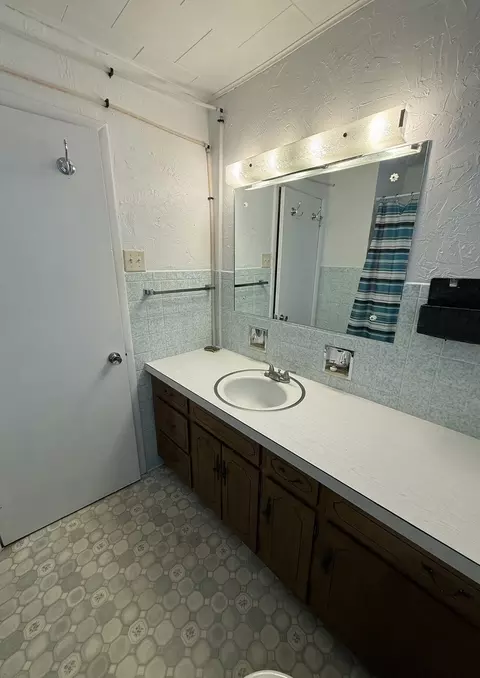 Bath - 407 Middleton St, Iuka, IL 62849 photo 1 of 1