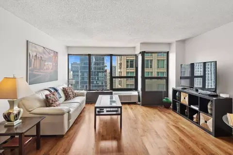 30 E Huron St #2506, Chicago, IL 60611 photo 12