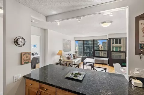 30 E Huron St #2506, Chicago, IL 60611 photo 7