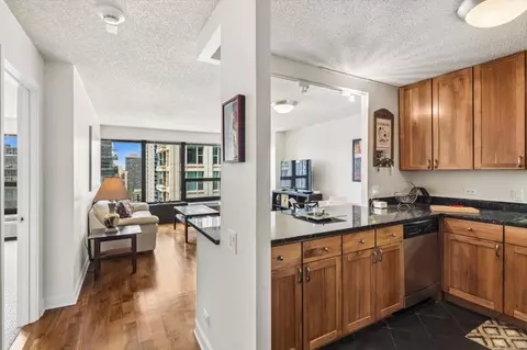 30 E Huron St #2506, Chicago, IL 60611 photo 3