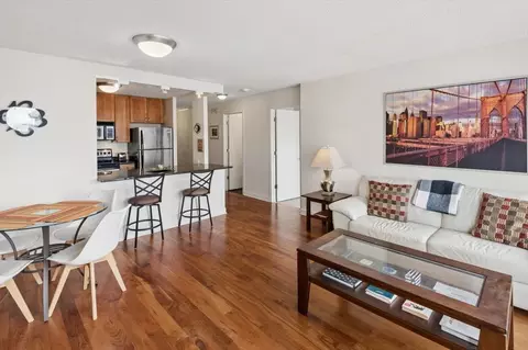 30 E Huron St #2506, Chicago, IL 60611 photo 11