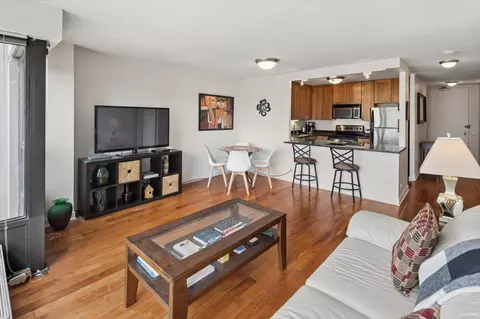30 E Huron St #2506, Chicago, IL 60611 photo 10