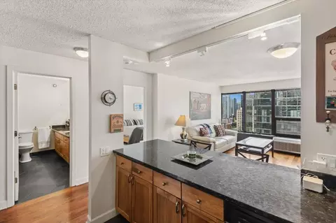 30 E Huron St #2506, Chicago, IL 60611 photo 6