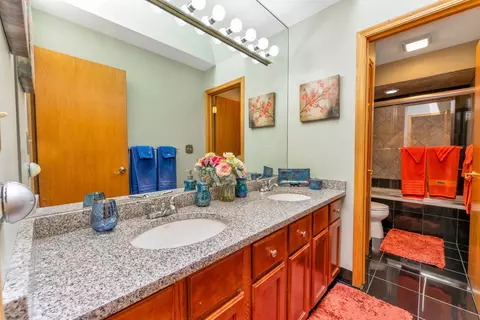 Bath - 2135 Phillips Dr, Glenview, IL 60026 photo 3 of 3
