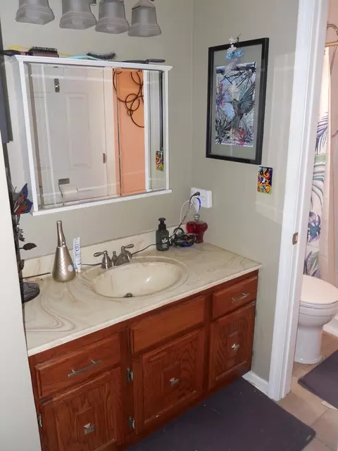 Bath - 108 Kenneth Cir, Elgin, IL 60120 photo 1 of 4