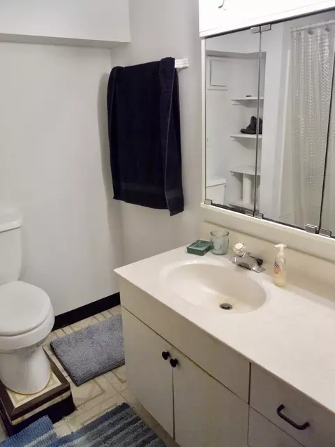 Bath - 108 Kenneth Cir, Elgin, IL 60120 photo 3 of 4