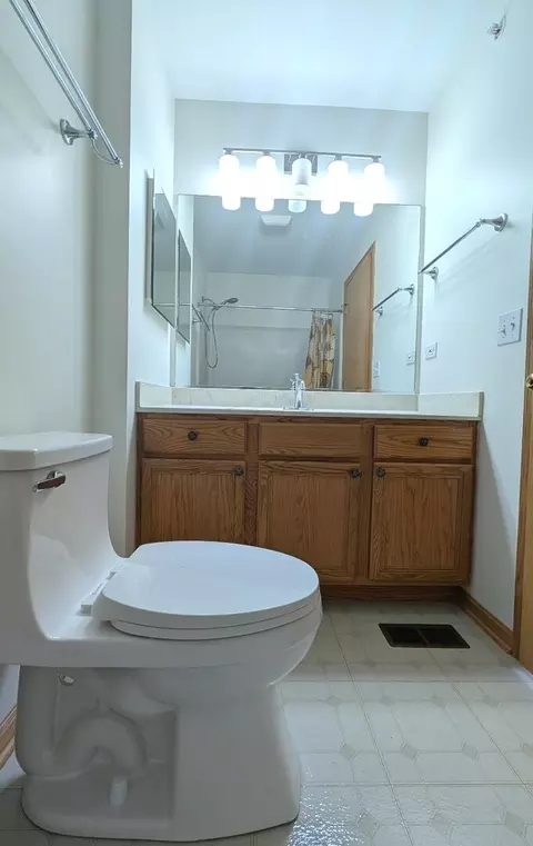 Bath - 723 River Walk Dr #163, Wheeling, IL 60090 photo 1 of 6