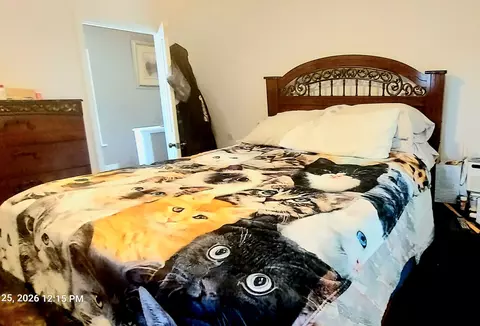 Bedroom - 223 N Sumner Ave, Aurora, IL 60505 photo 1 of 7