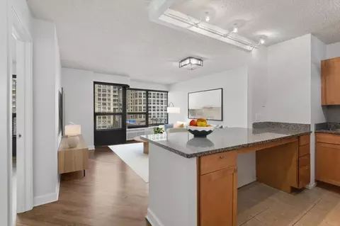 Other - 30 E Huron St #908, Chicago, IL 60611 photo 1 of 12