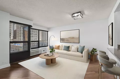 Living - 30 E Huron St #908, Chicago, IL 60611 photo 1 of 6