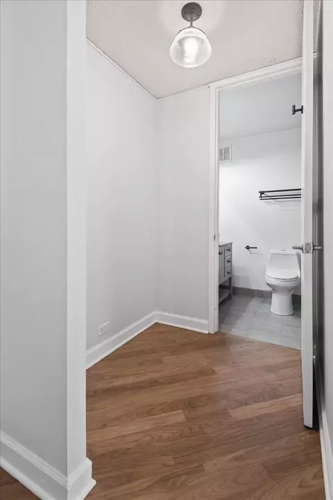 Other - 30 E Huron St #908, Chicago, IL 60611 photo 3 of 12
