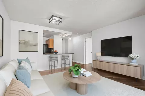 Living - 30 E Huron St #908, Chicago, IL 60611 photo 3 of 6