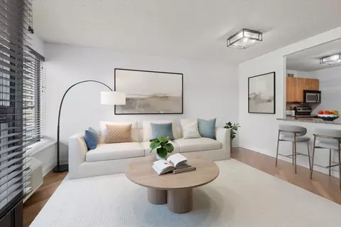 Living - 30 E Huron St #908, Chicago, IL 60611 photo 4 of 6