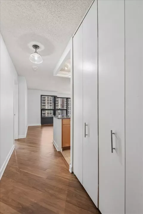 Entry Way - 30 E Huron St #908, Chicago, IL 60611 photo 1 of 1