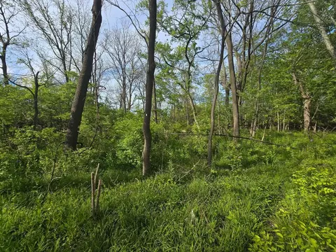 108 Arrowhead Dr, Algonquin, IL 60102 photo 6