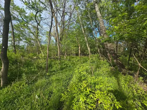 108 Arrowhead Dr, Algonquin, IL 60102 photo 7