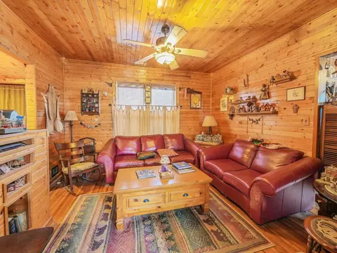 Living - 433 Arlington Ave, Elgin, IL 60120 photo 4 of 5