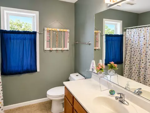 Bath - 4906 S Sir Lionel Ct, Mapleton, IL 61547 photo 2 of 3
