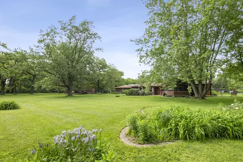 Exterior - 1801 Richton Rd, Steger, IL 60475 photo 11 of 13