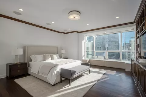 Other - 270 E Pearson St #701-801, Chicago, IL 60611 photo 4 of 4