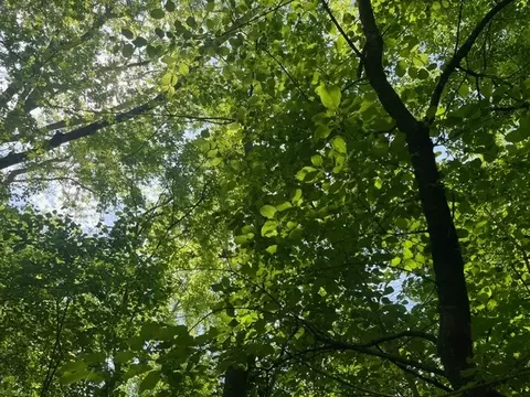 lot0 Pine St S, Mchenry, IL 60051 photo 5