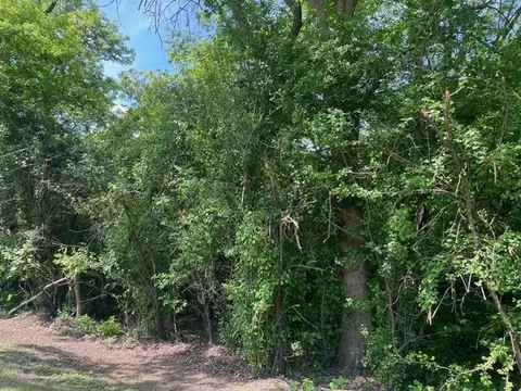 lot0 Pine St S, Mchenry, IL 60051 photo 8