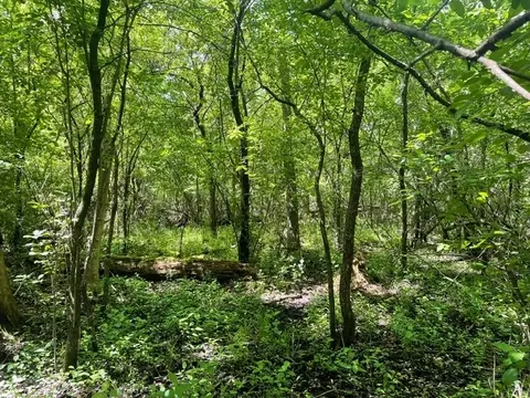 lot0 Pine St S, Mchenry, IL 60051 photo 4